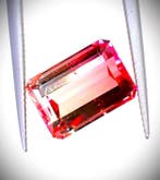 Meerkleurig Toermalijn - 3.01 ct - International Gemological, Nieuw