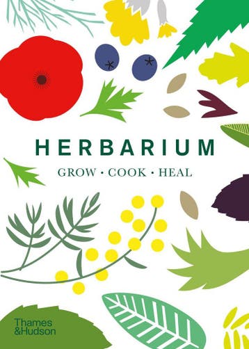 Herbarium | Caz Hildebrand | Nieuw, Boeken, Ophalen of Verzenden, Nieuw, Caz Hildebrand