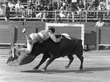 Hubertus Hierl (1940) - Stierkampf in Fréjus (7.8.1966) -
