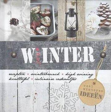 Jouw winter - Floor van Dinteren 9789461444158, Verzenden, Zo goed als nieuw, Floor van Dinteren