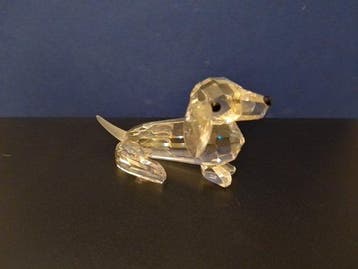 Swarovski - Beeldje - Dachshund mini - 014388 - Box +