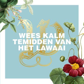 Wees kalm te midden van het lawaai 9789043526906, Verzenden, Gelezen