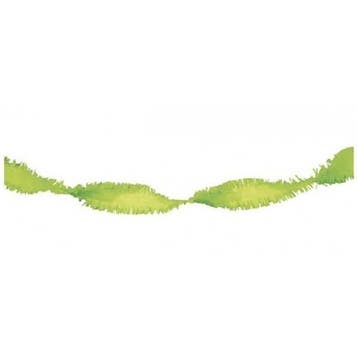 Crepe Papier Slinger Lime Groen - 24 meter, Ophalen of Verzenden, Nieuw