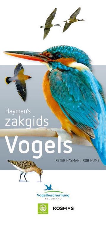 Haymans zakgids vogels - Rob Hume 9789021575353, Boeken, Verzenden, Zo goed als nieuw, Rob Hume