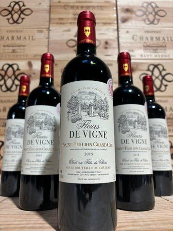 2015 Château La Fleur de Vigne - Saint-Émilion Grand Cru - 6, Nieuw