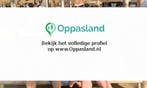 Anne zoekt een oppas in Eemnes voor 2 kinderen op dinsdag...