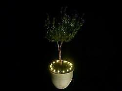 Bloempot verlichting Plant LED op BATTERIJ WARM WIT, Diversen, Kerst, Nieuw, Ophalen of Verzenden