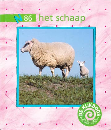 De Ruiters Documentatiecentrum De Kijkdoos N86 het Schaap, Verzenden, Nieuw