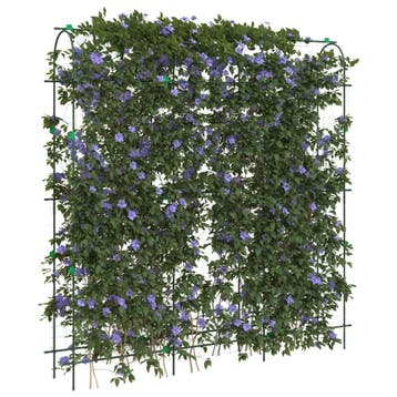 vidaXL Plantenklimrek U-vorm 181x31x182,5 cm staal, Verzenden, Nieuw
