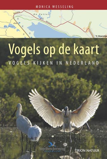 Vogels op de kaart - Monica Wesseling 9789052108056, Verzenden, Zo goed als nieuw, Monica Wesseling