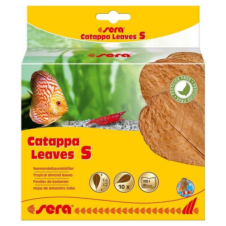 Sera Catappa Leaves Small 10 stuks (Waterverzorging), Dieren en Toebehoren, Vissen | Aquaria en Toebehoren, Overige typen, Nieuw