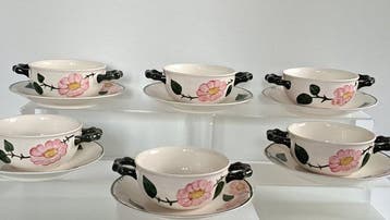 Villeroy & Boch - Tafelservies (12) - Wild-Rose -, Antiek en Kunst
