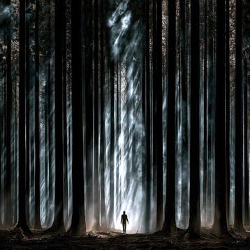 David Law - Lost Souls XXIX