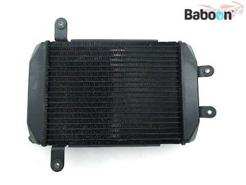 Radiateur Suzuki AN 250 Burgman 1998-2002 (AN250), Verzenden, Gebruikt