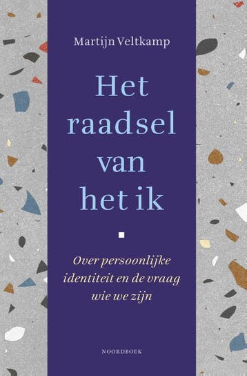 Het Raadsel Van Het Ik | Martijn Veltkamp | Nieuw, Ophalen of Verzenden, Nieuw, Martijn Veltkamp