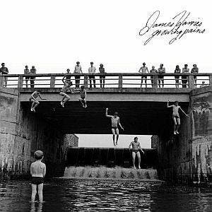 cd digi - James Harries - Growing Pains, Verzenden, Zo goed als nieuw