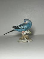 Hutschenreuther - Beeldje - Blue Parakeet Budgie Bird