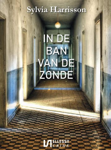 In de ban van de zonde - Sylvia Harrisson 9789464932492, Verzenden, Zo goed als nieuw, Sylvia Harrisson
