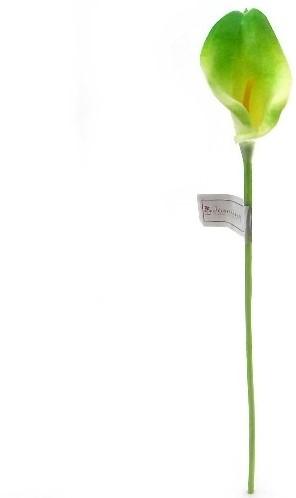 Calla Real Touch Groen 7 cm 37 cm lang per stuk, Ophalen of Verzenden, Nieuw