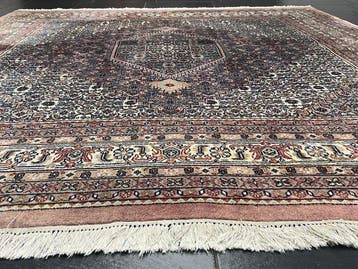 Bidjar - Vloerkleed - 245 cm - 250 cm, Nieuw