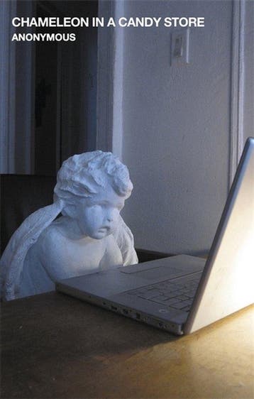 Chameleon in a Candy Store - Anonymous, Boeken, Verzenden, Zo goed als nieuw