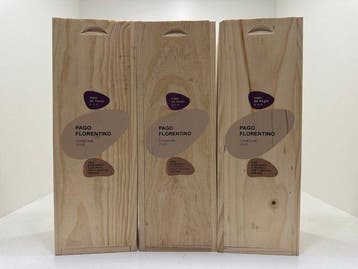 2020 Pago Florentino, Vino de Pago - Ribera del Duero - 3, Nieuw