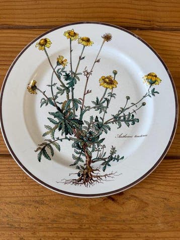 Villeroy & Boch - Bord (4) - Botanica - Porselein -, Antiek en Kunst