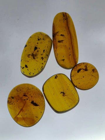 Birmese barnsteen - Barnsteen - Lot of 5 Burmese Amber, Verzamelen