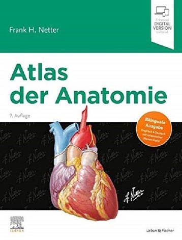 Atlas der Anatomie - Frank H. Netter 9783437416071, Boeken, Verzenden, Zo goed als nieuw, Frank H. Netter