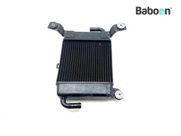 Radiateur BMW CE 04 2021-2023 (K07 CE04) (17119829252), Motoren, Verzenden, Gebruikt