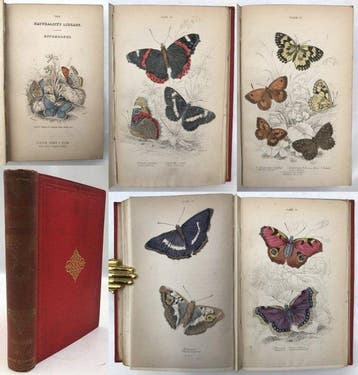 William Jardine, James Duncan - The Naturalists Library;