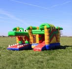 Te Huur Springkussen Multiplay Krokodil, Hobby en Vrije tijd, Ophalen of Verzenden, Gebruikt, Verjaardag