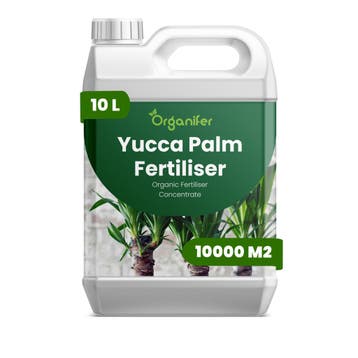 Yucca Palm vloeibare meststof - 10 liter, Verzenden, Mest