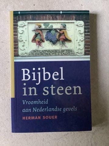 Bijbel In Steen - Souer, Verzenden, Gelezen