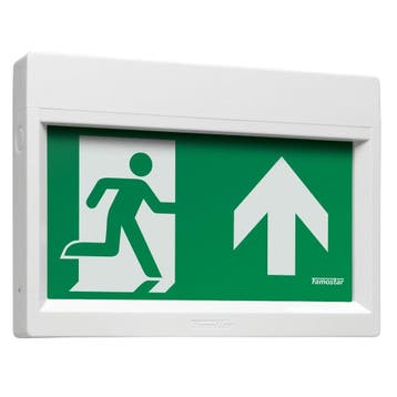 Famostar Go! Noodverlichtingsarmatuur - 391862, Verzenden, Nieuw, Overige typen