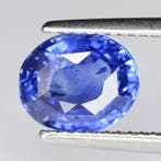 1 pcs Blauw Saffier - 2.59 ct - Gemological Institute of, Nieuw