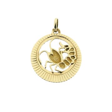Gouden sterrenbeeld hanger; Kreeft (Hanger of bedel), Ophalen of Verzenden, Gebruikt, Goud, Overige merken