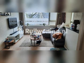 Ideaal voor een klein gezin in Zaandam, Amsterdam