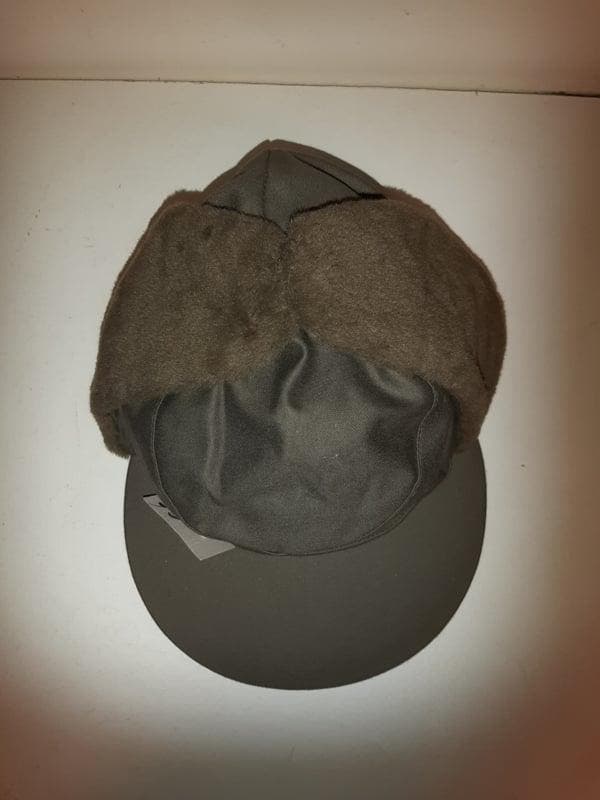 Pet met oorkleppen (petten, Hoeden), Kleding | Heren, Hoeden en Petten, Nieuw, Ophalen of Verzenden