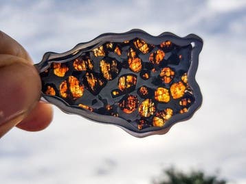 Pallasiet Pendant Sericho Pallasite - Hoogte: 7 cm -