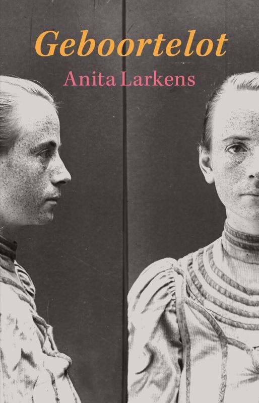 Geboortelot 9789083167343 Anita Larkens, Boeken, Historische romans, Zo goed als nieuw, Verzenden