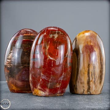 Prachtige set van versteend hout – Vrije vormen- 2060.37 g -