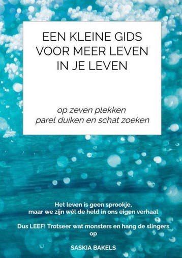 9789464185867 Een Kleine Gids VOOR MEER LEVEN IN JE LEVEN, Verzenden, Zo goed als nieuw, Saskia Bakels