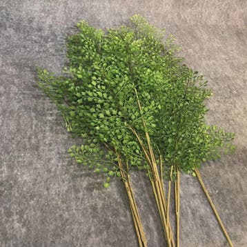 Realistische Kunstvaren Takken - Handgemaakt & Elegant Groen, Verzenden, Nieuw