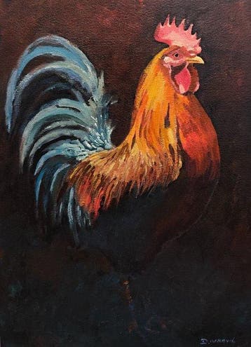 Davor Ivkovi (1965) - Rooster