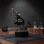 Binocular microscope - 228374 - 1960-1970 - Japan - Olympus