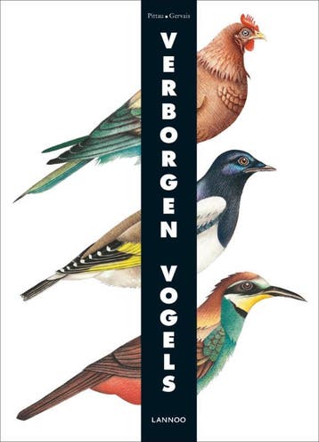 Verborgen vogels 9789020990478 Pittau, Verzenden, Gelezen, Pittau