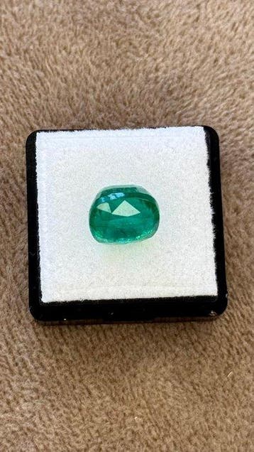 1 pcs Groen Smaragd - 5.60 ct - International Gemological, Nieuw