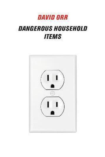 Dangerous Household Items - David Orr 9781556595479, Verzenden, Zo goed als nieuw, David Orr