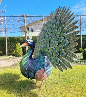 Beeldje - Beeldje - Peacock - IJzer, Metaal - IJzer, Metaal